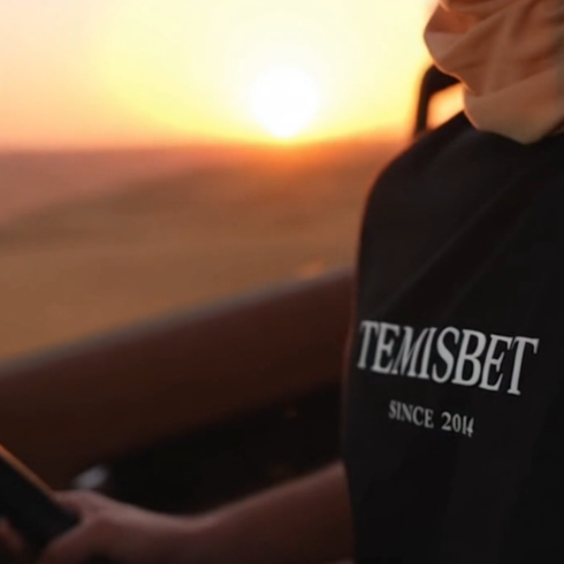 TemisBet desierto